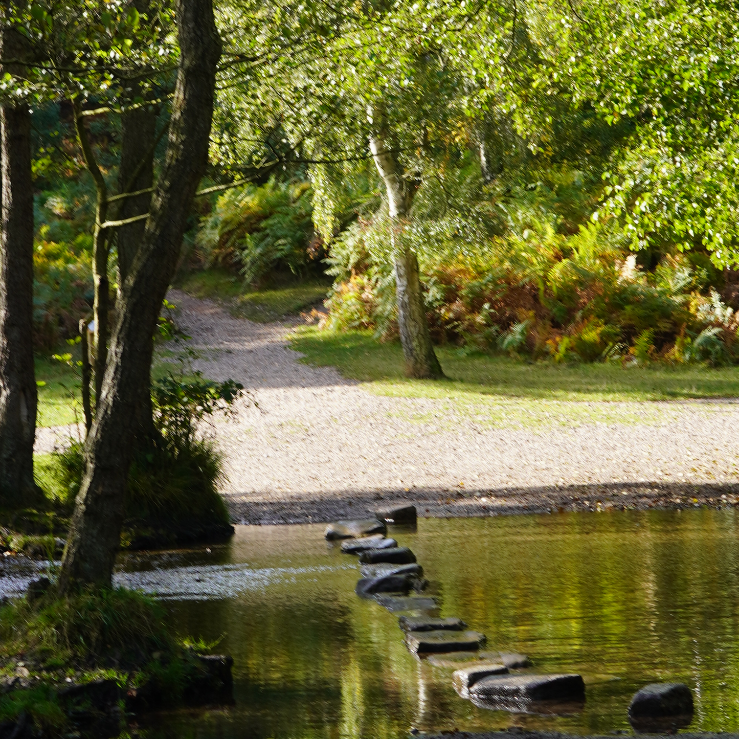 Nature Inspired - An Art Studio Experience