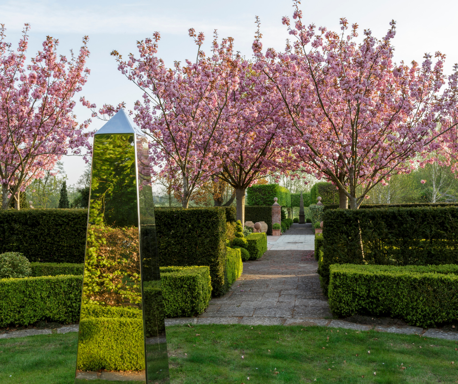 Memories of First Cherry Blossom Workshop - On this Friday!