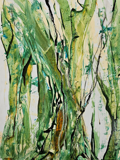 Amongst the Bark