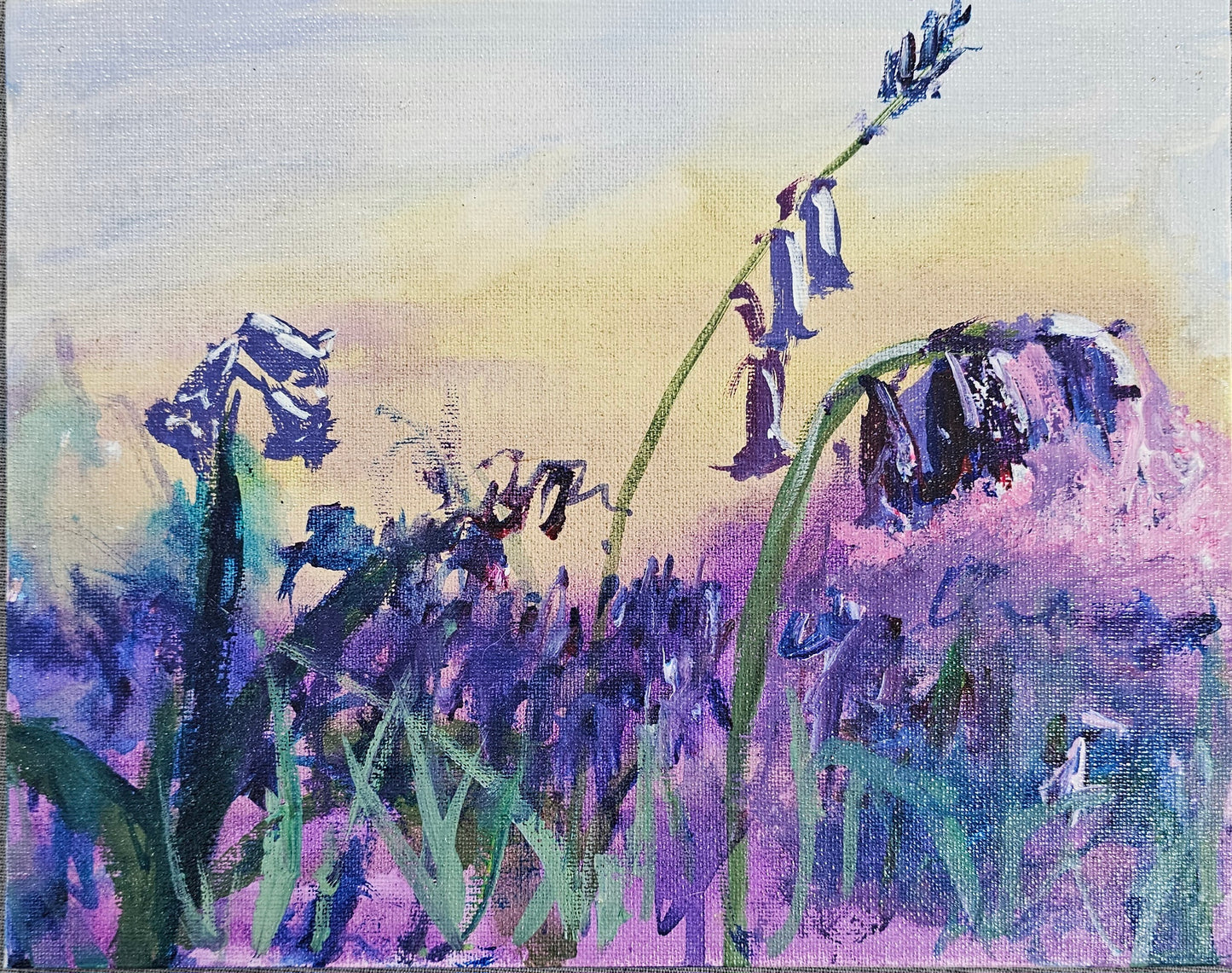 Amongst the Bluebells