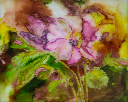 Hellebore - Original